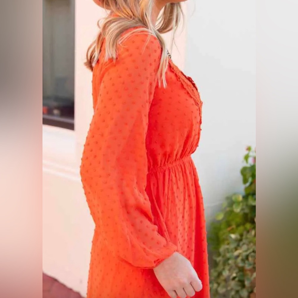 Southern Fried Chics This One’s For The Ladies Rust Long Sleeve Dress - Picture 3 of 5